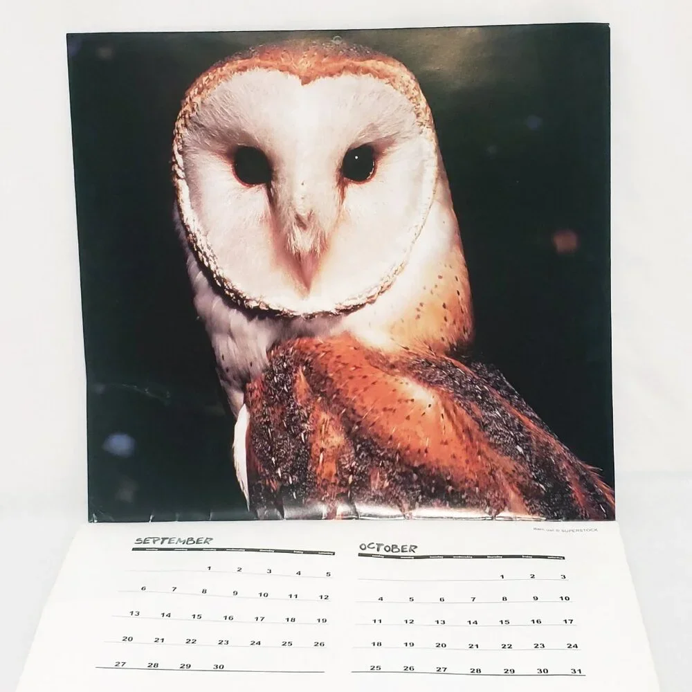 Owls Birds Calendar 1999 Halfmoon Press The Time Factory 16 Months